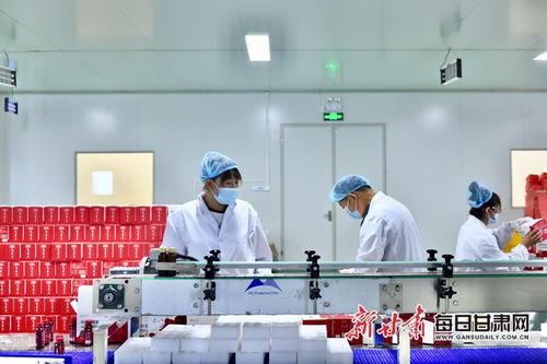 白银枸杞与信息技术咨询服务的融合 钱景可期的产业发展新路径